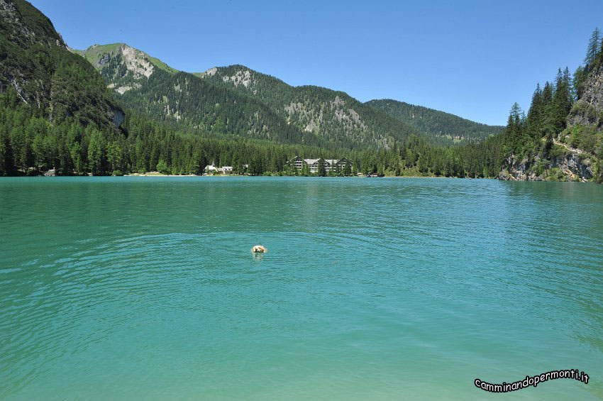 42 Lago di Braies.JPG